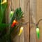 35ct. Vibrantly Colored Chili Pepper String Light Set